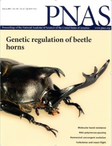 Castoe et al. 2009; PNAS