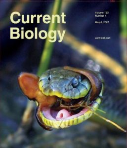 McGlothlin et al. 2016; Current Biology